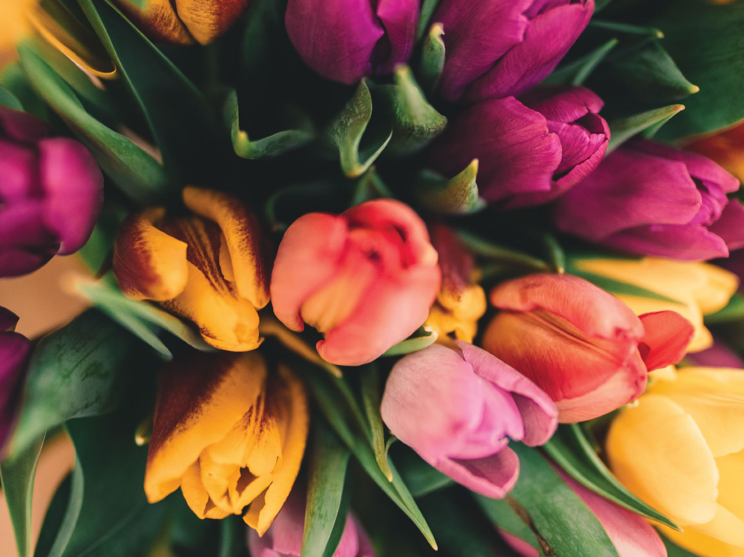 Bouquet of Tulips in Various Colors